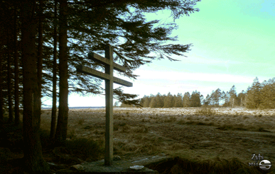 Croix de Lorraine