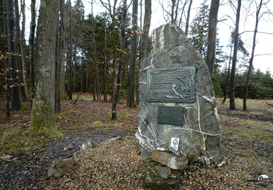 Monument Anglais du Rhus