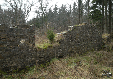 reinartzof à l'abandon