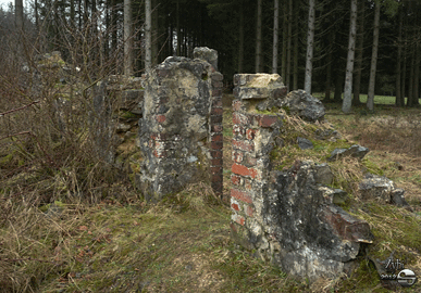 reinartzof à l'abandon